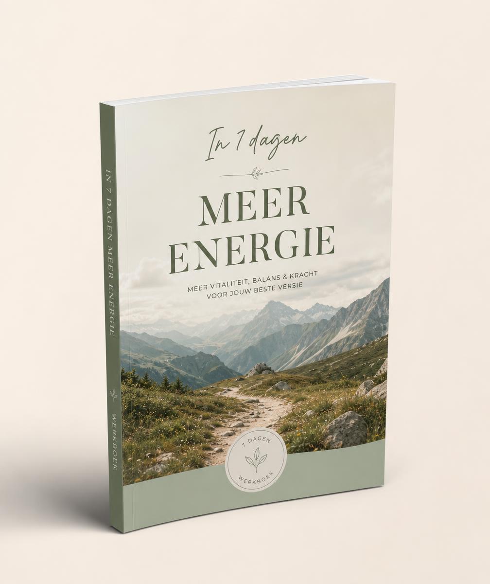 Het werkboek In 7 dagen meer energie